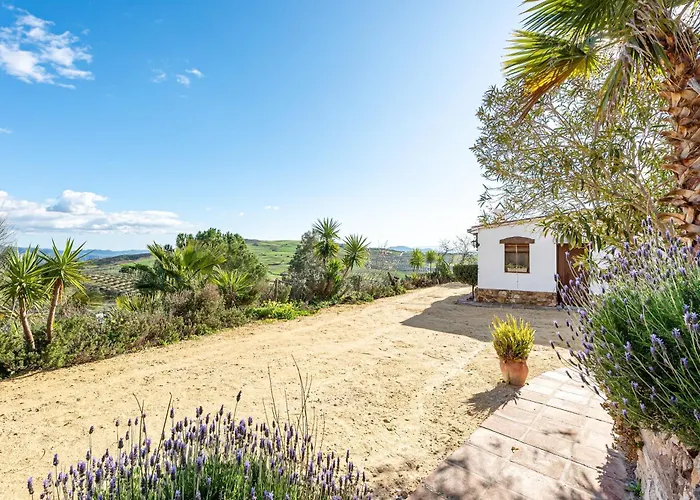 Perros hoteles Villa Campito