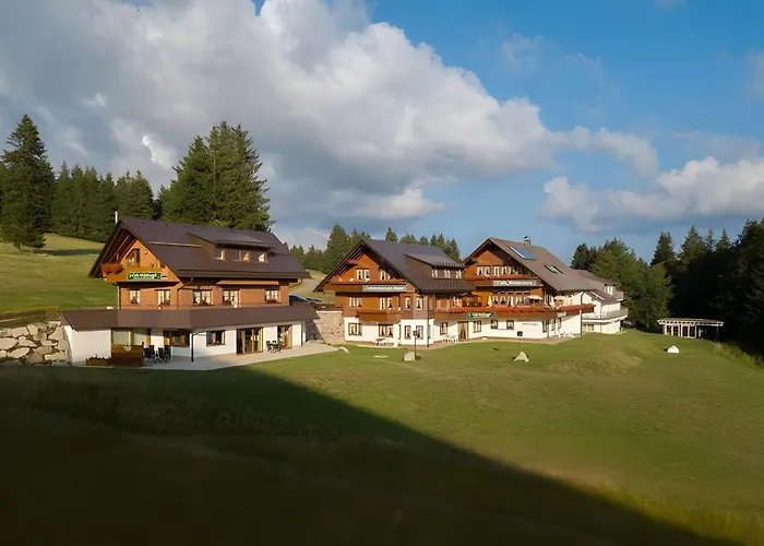  Cafe-Restaurant-Gaestehaus Waldvogel
