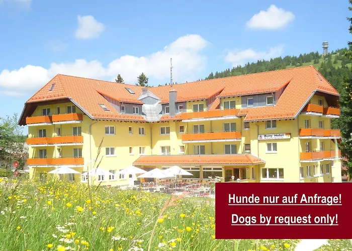 Burg Feldberg