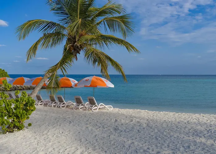 Kaani Beach Hotel - Stay 3 Nights And Save 20 Percent On Spa And 10 Percent On Dining Until 31 October 2026