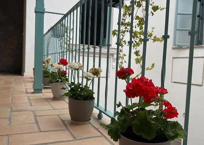 Alegoría Coliving Experience