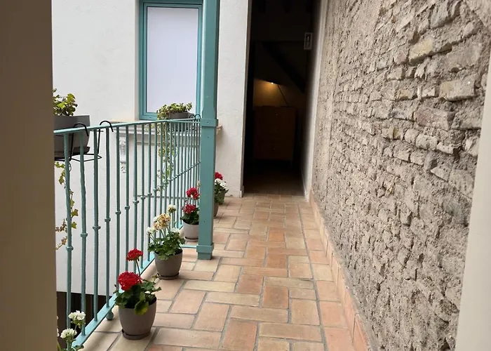 Alegoría Coliving Experience