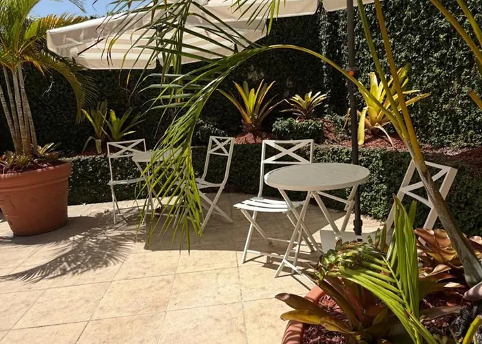 Pets Allowed Hotel Rincon Plaza