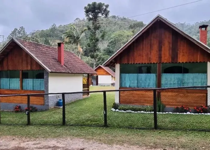 Palmeira Azul