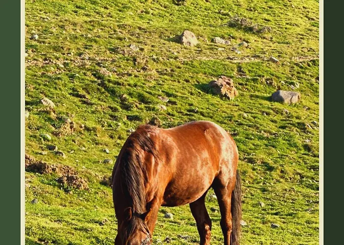 Pergamon Yunt Evleri