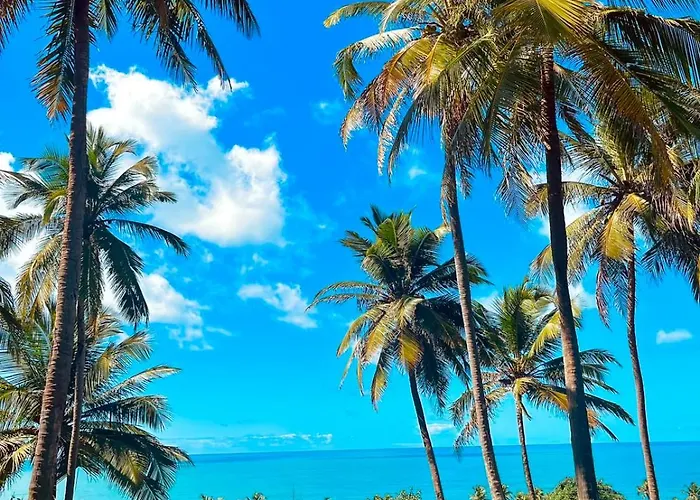 Coco Pontall Bangalôs