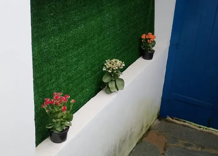 Casa Lili Cmd