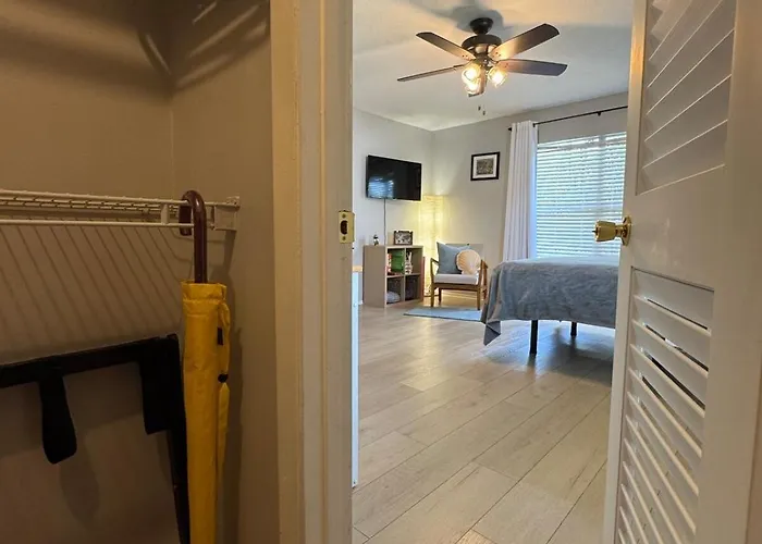 Disney, Universal, Epic Hub- Studio Suite