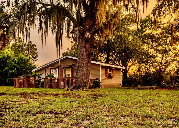 The Lake Alfred Citruswood Cabin