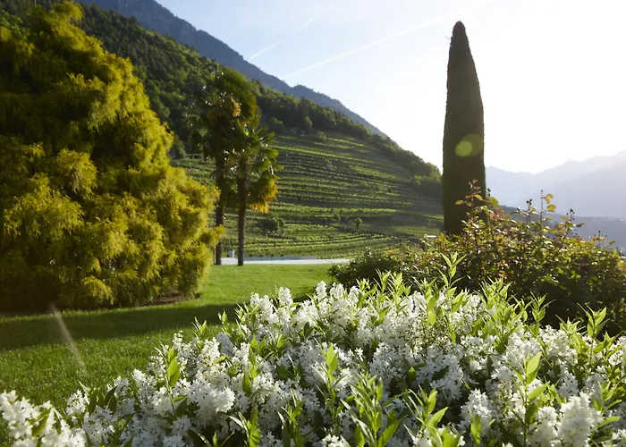 Schloss Plars Wine & Suites