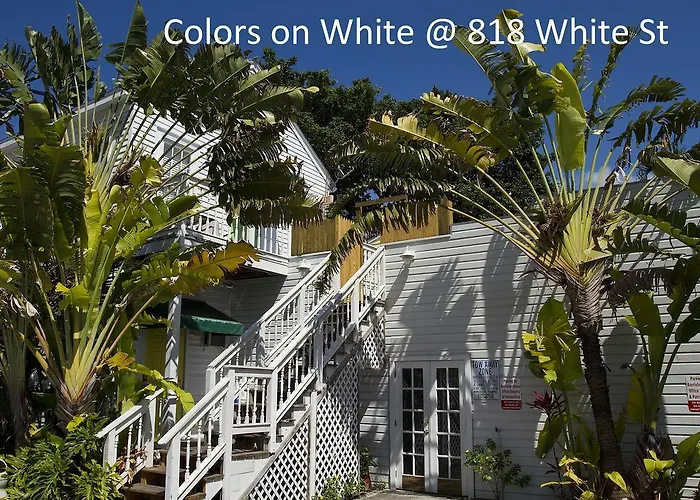 Apartment: Colors On White