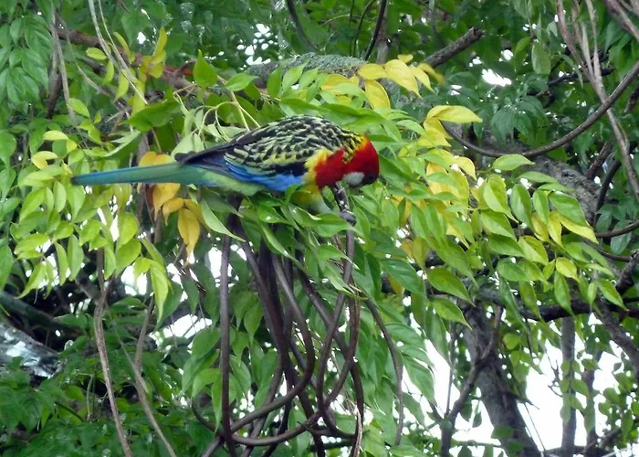 B&B only: Peace And Plenty Inn