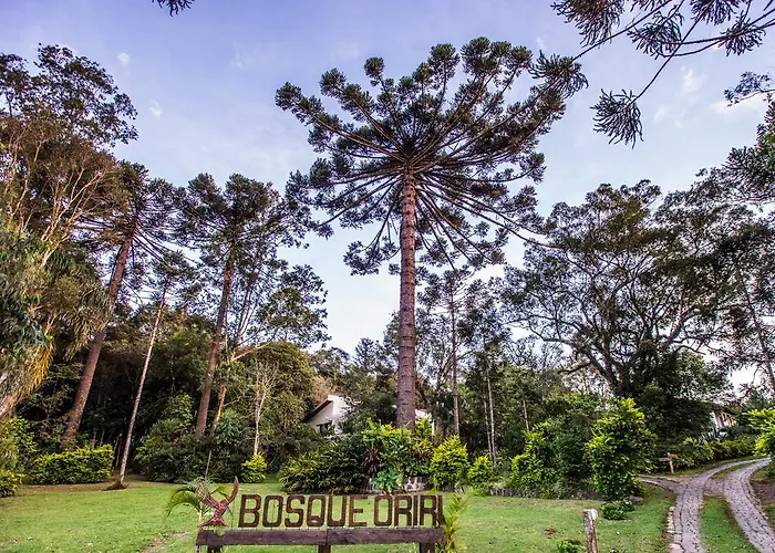 Bosque Oriri
