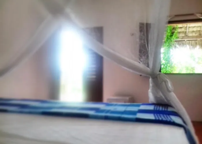 Eco Kite Dunas