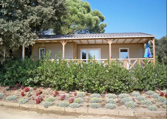 Huisdiervriendelijk hotel: Camping Senia Tucan