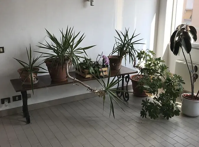 Guesthouse Flora