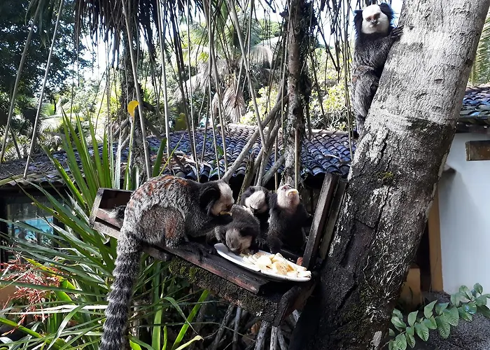 Ancoradouro Hotel Pousada