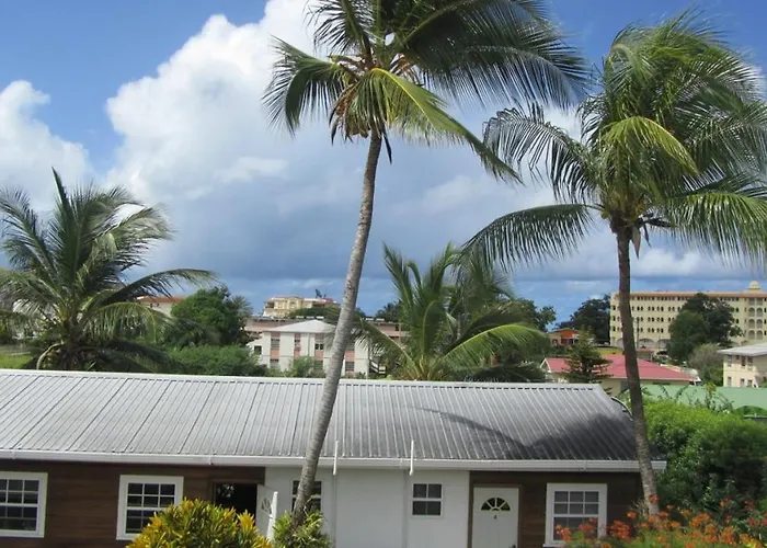 Dolphin Inn Guesthouse & Apartments