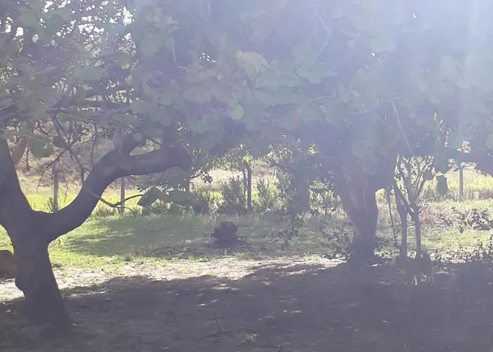 Sitio Santo Antonio