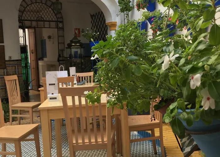 Appartamento : Seneca Hostel