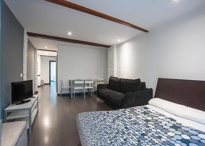 Apartamentos Logrono