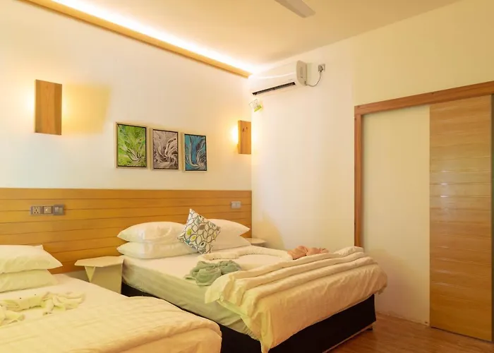 Trip Villa