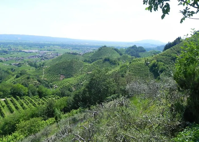da Meri tra le colline del prosecco DOCG locazione turistica