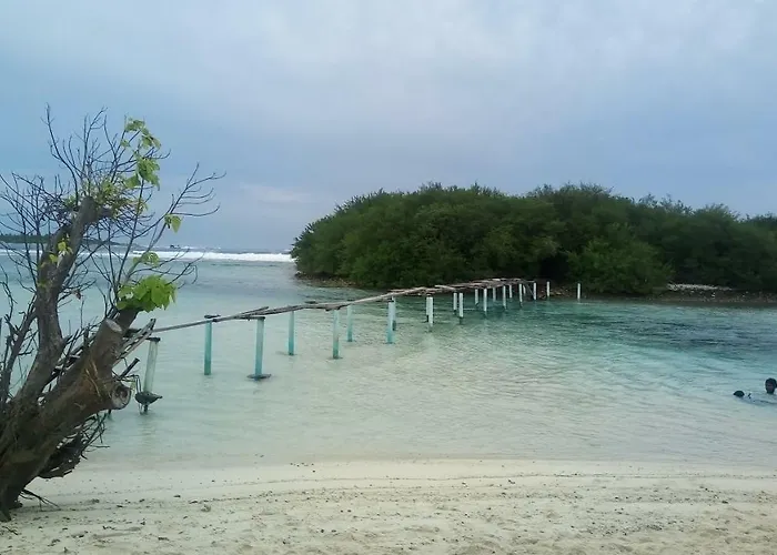 Eden Blue