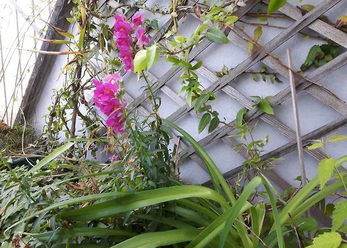 Suite Place De L'Etoile