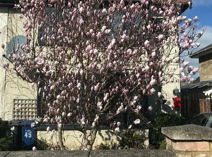 B&B only: Harry'S Bed And Breakfast