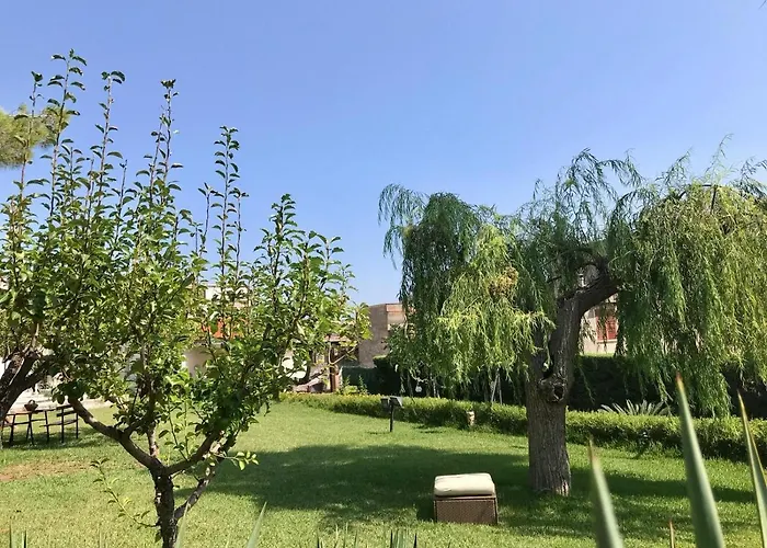 Cappuccini Green Relax