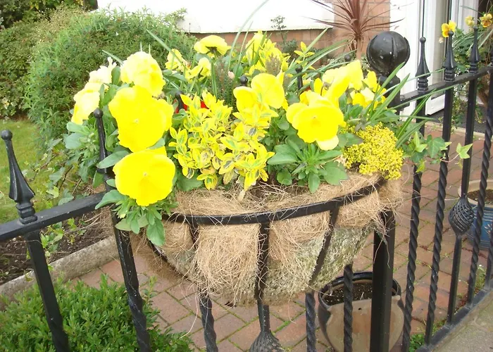 Broadlands Guest House