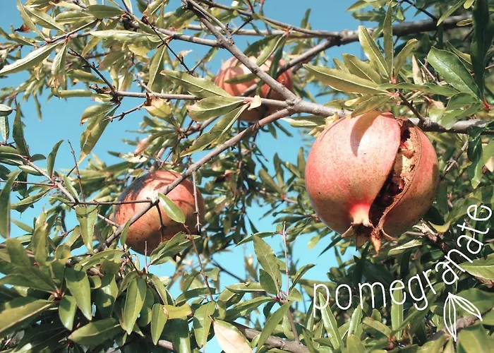La Quercia