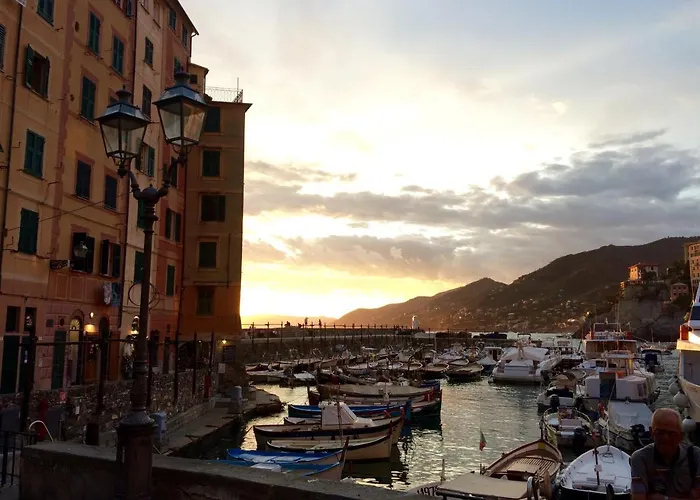 Appartamento : Sguardo sul Porto ( codice CITRA 01007-LT-0314 )