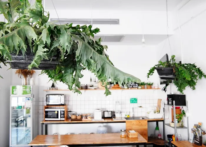 Hostel: Green Sleep Hostel