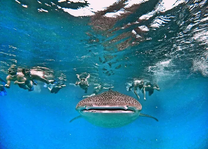 Athiri Beach Maldives